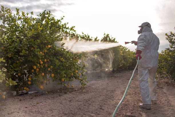 Best Best Pest Control Companies  in Forrest City, AR