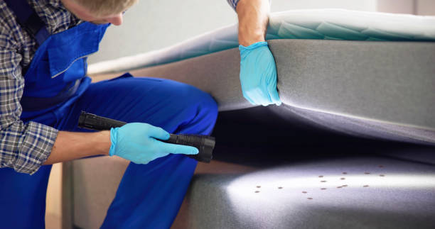 Best Pest Inspection Near Me  in Forrest City, AR