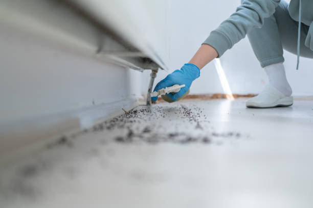 Best Affordable Pest Control Services  in Forrest City, AR