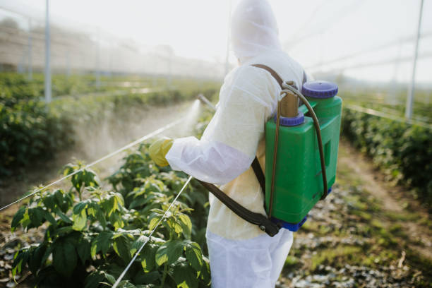 Best Mosquito Control Services  in Forrest City, AR